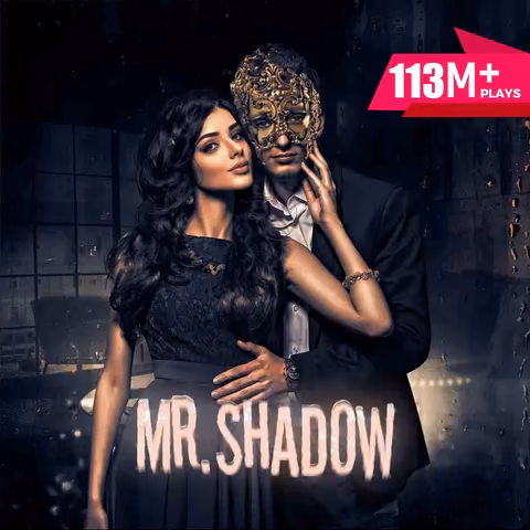 Mr. Shadow | मिस्टर शैडो