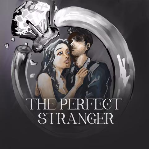 The Perfect Stranger