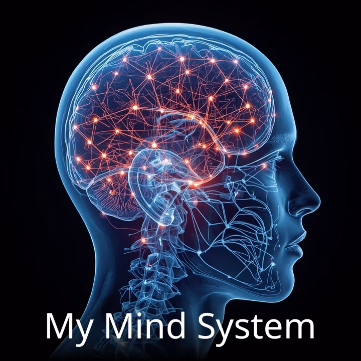 My Mind System My Mind System