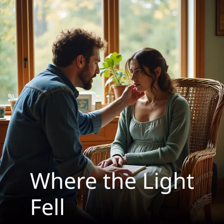 Where the Light Fell Where the Light Fell