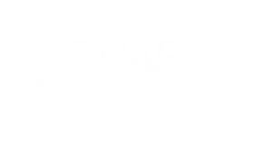 Noras Geheimnis Noras Geheimnis